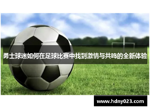 勇士球迷如何在足球比赛中找到激情与共鸣的全新体验